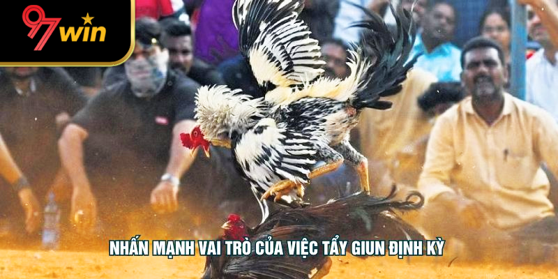 Nhấn mạnh vai trò của việc tẩy giun định kỳ 
