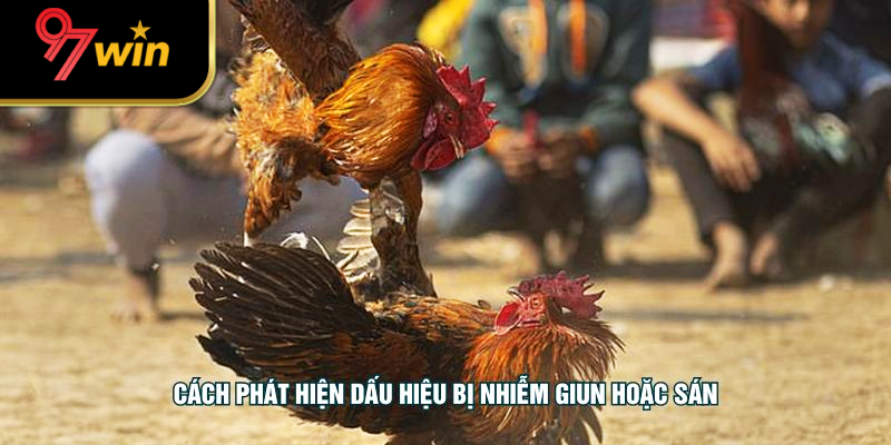 Cách phát hiện dấu hiệu bị nhiễm giun hoặc sán